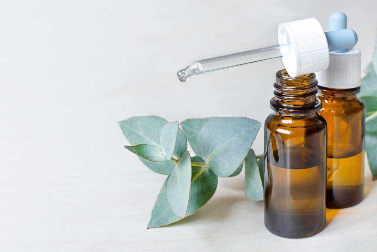 ¿La naturoterapia en España ha ganado popularidad?