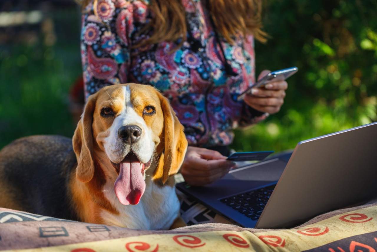 ¿Cómo ayuda el Software veterinario Petclinic en el día a día de las clínicas?