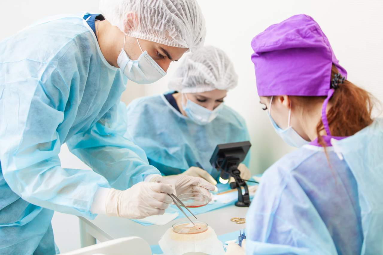 Dr. Bern Barbehito: cirujano especialista miembro de World FUE Institute