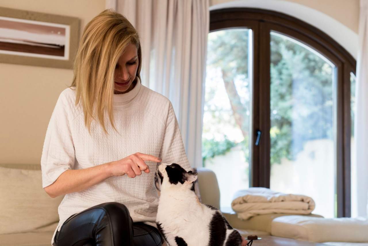 Encantadora de Gatos: ¿Se puede educar a un gato o corregir la conducta o comportamientos indeseados?