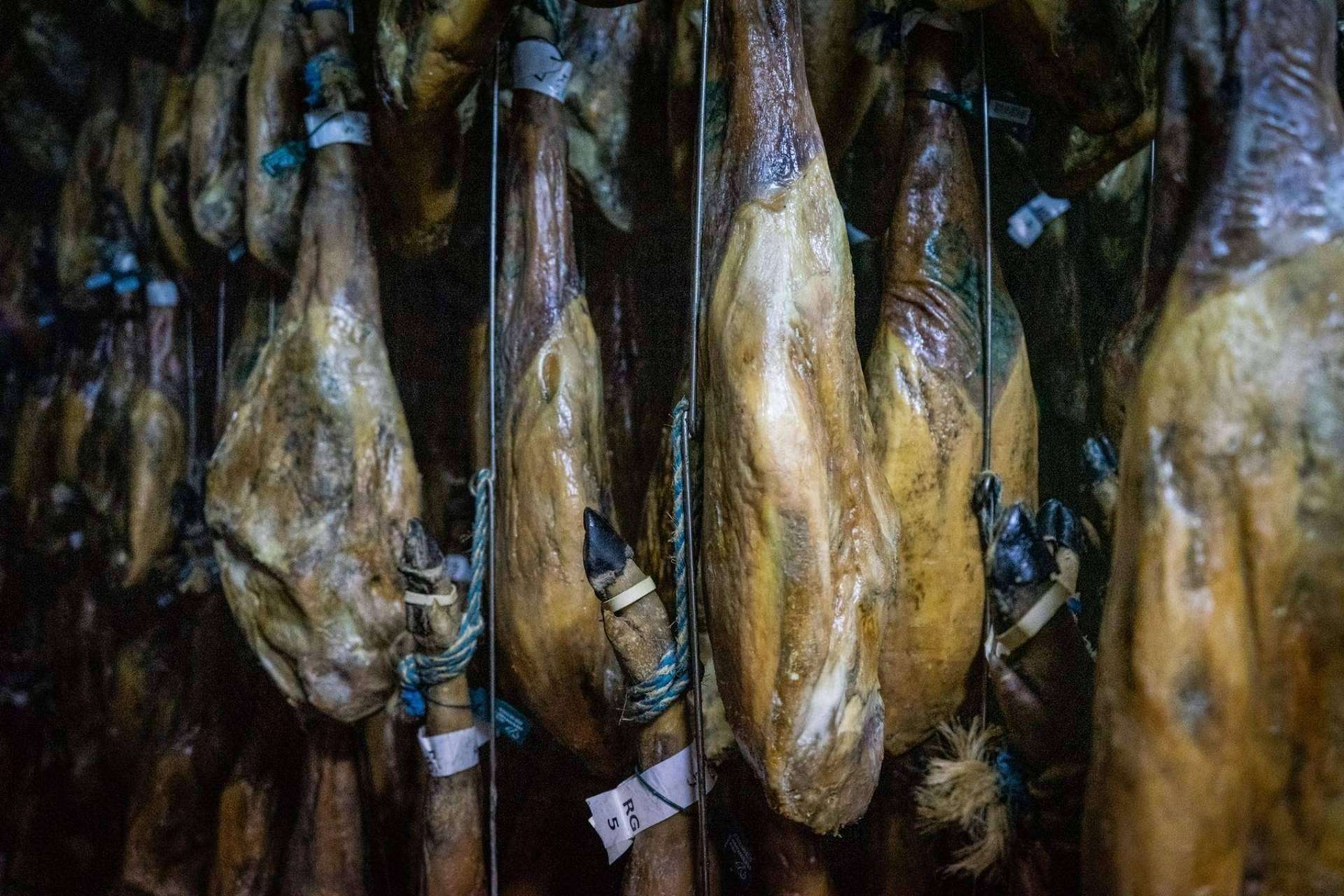 Encontrar jamón ibérico de bellota en Torrencinas