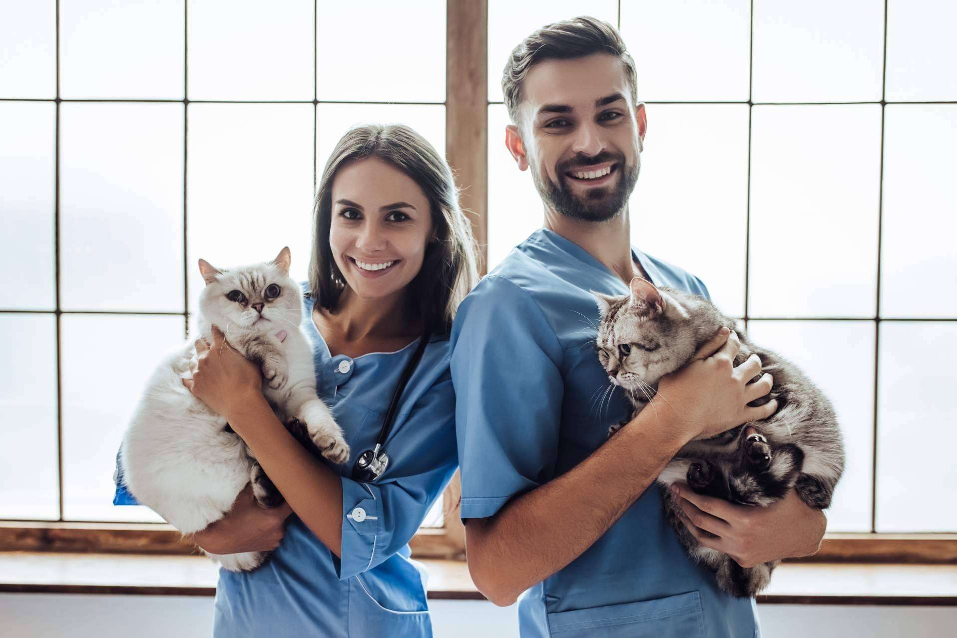 Curso Auxiliar Técnico de Veterinaria en Tecni Estudio