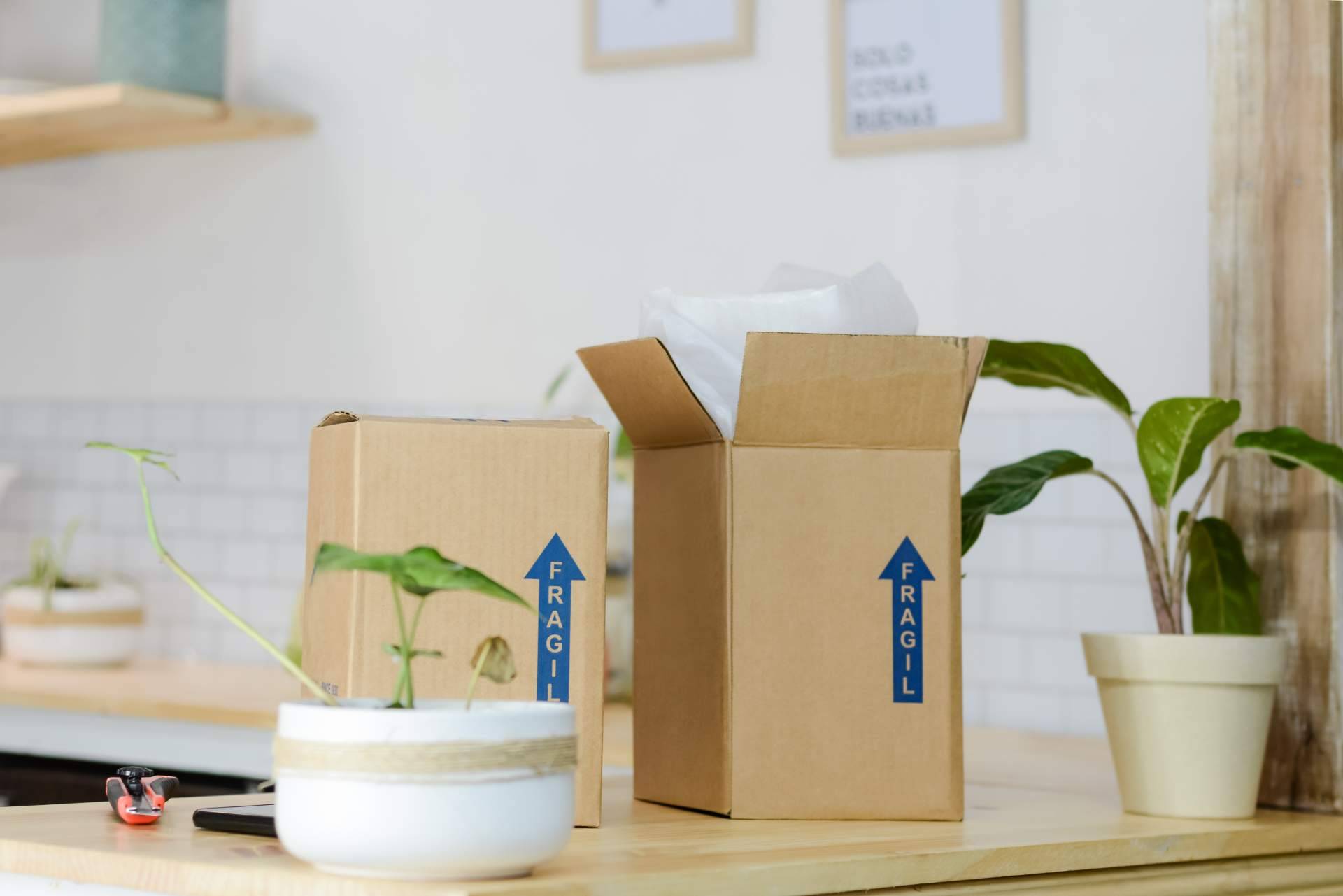 Tiendetea amplía su oferta de reparto de pedidos a los comercios adheridos