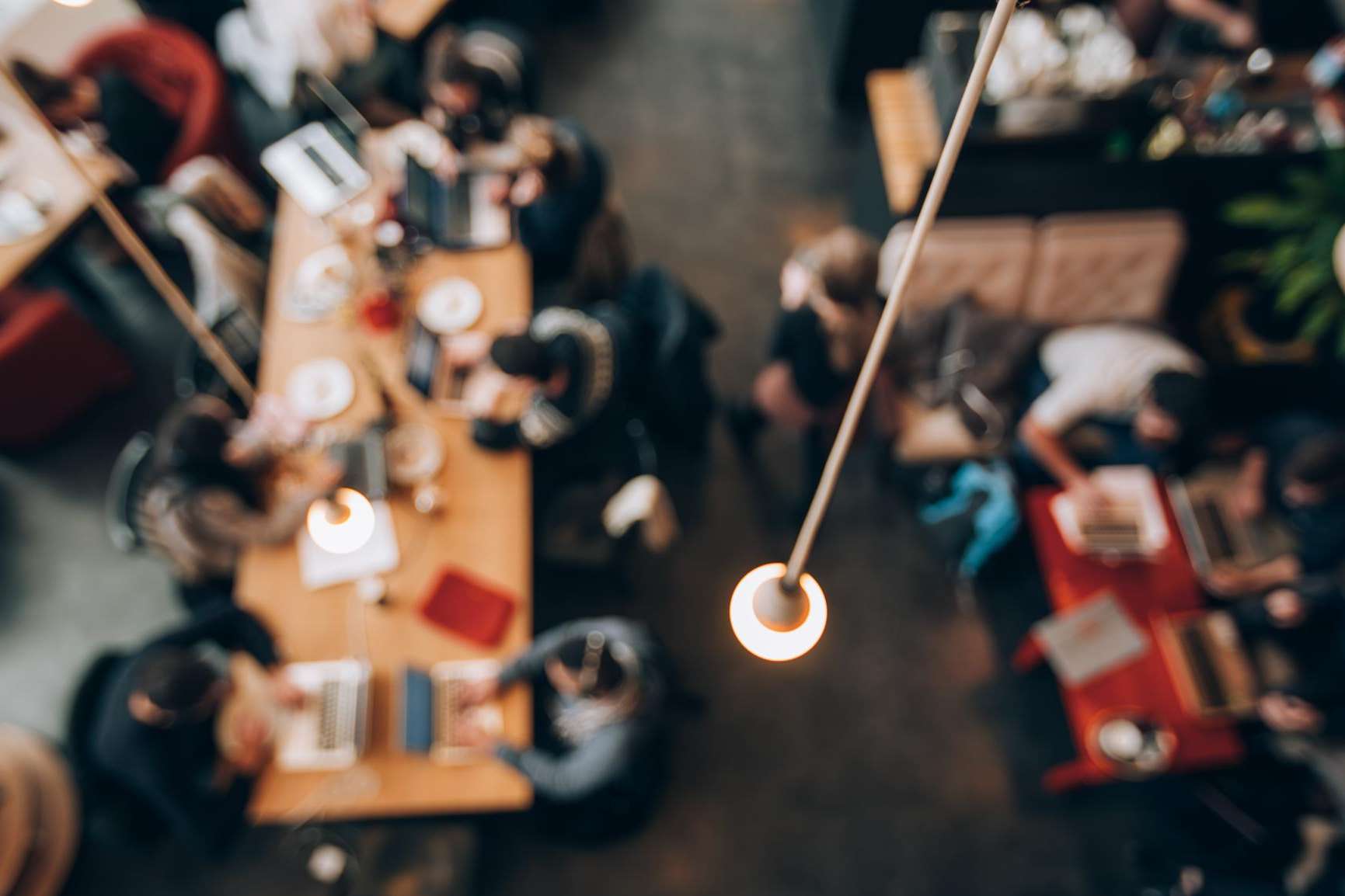 Coworking: el nuevo sistema de trabajo ofrecido por The Star Coworking