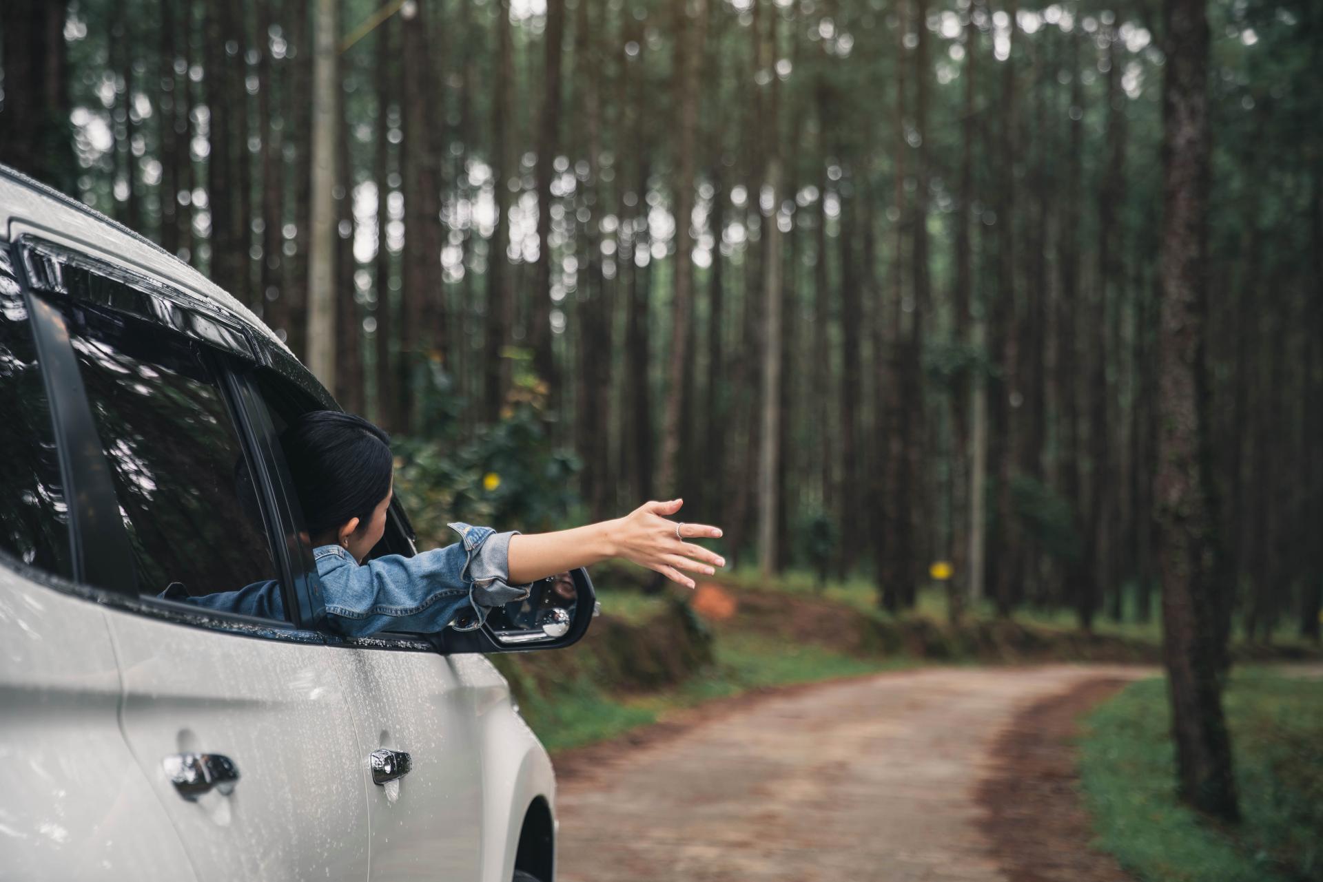 Turismo rural, una buena opción de viaje para familias y amigos