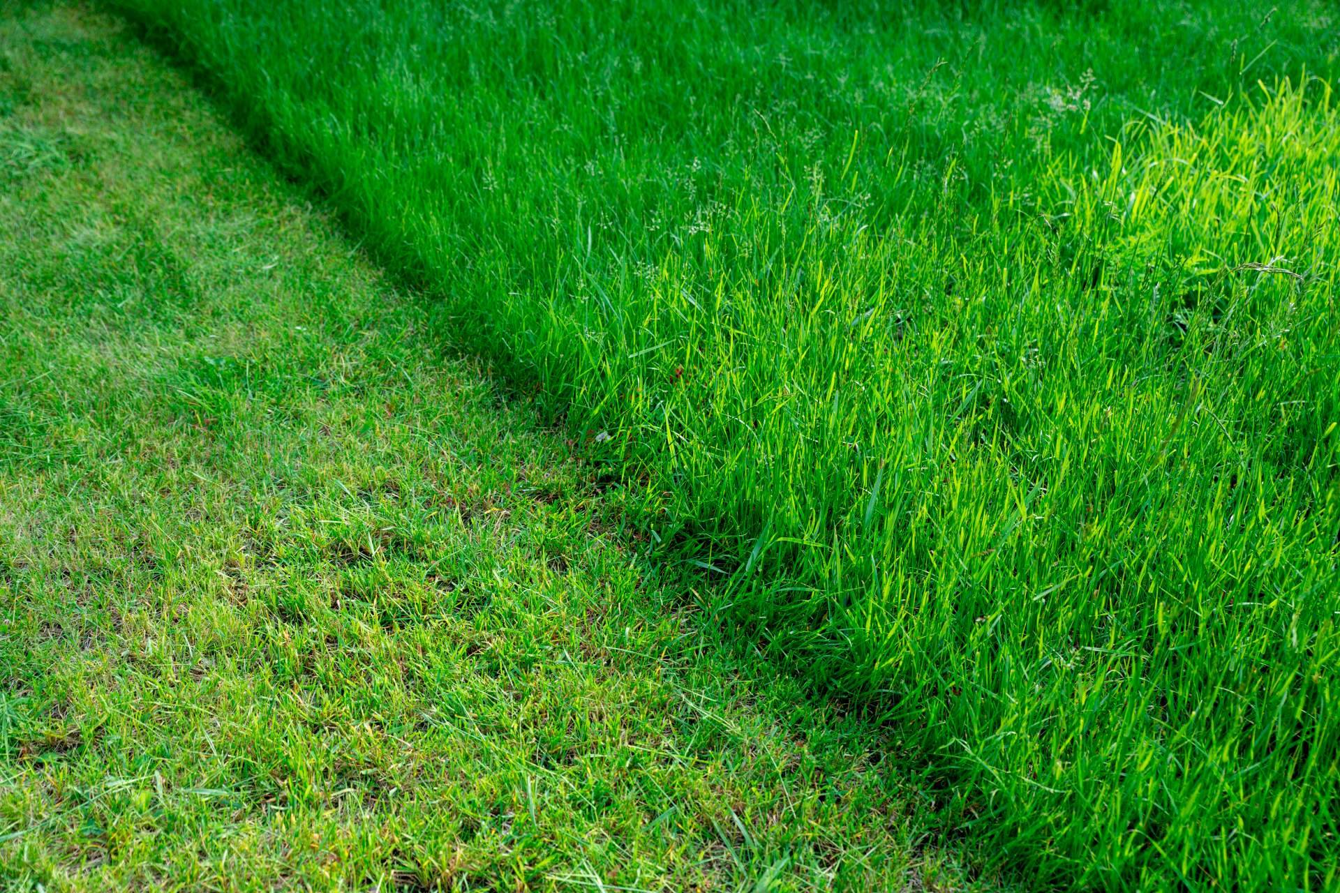 La flexibilidad del cortacésped automático de la empresa Robotic Mowers