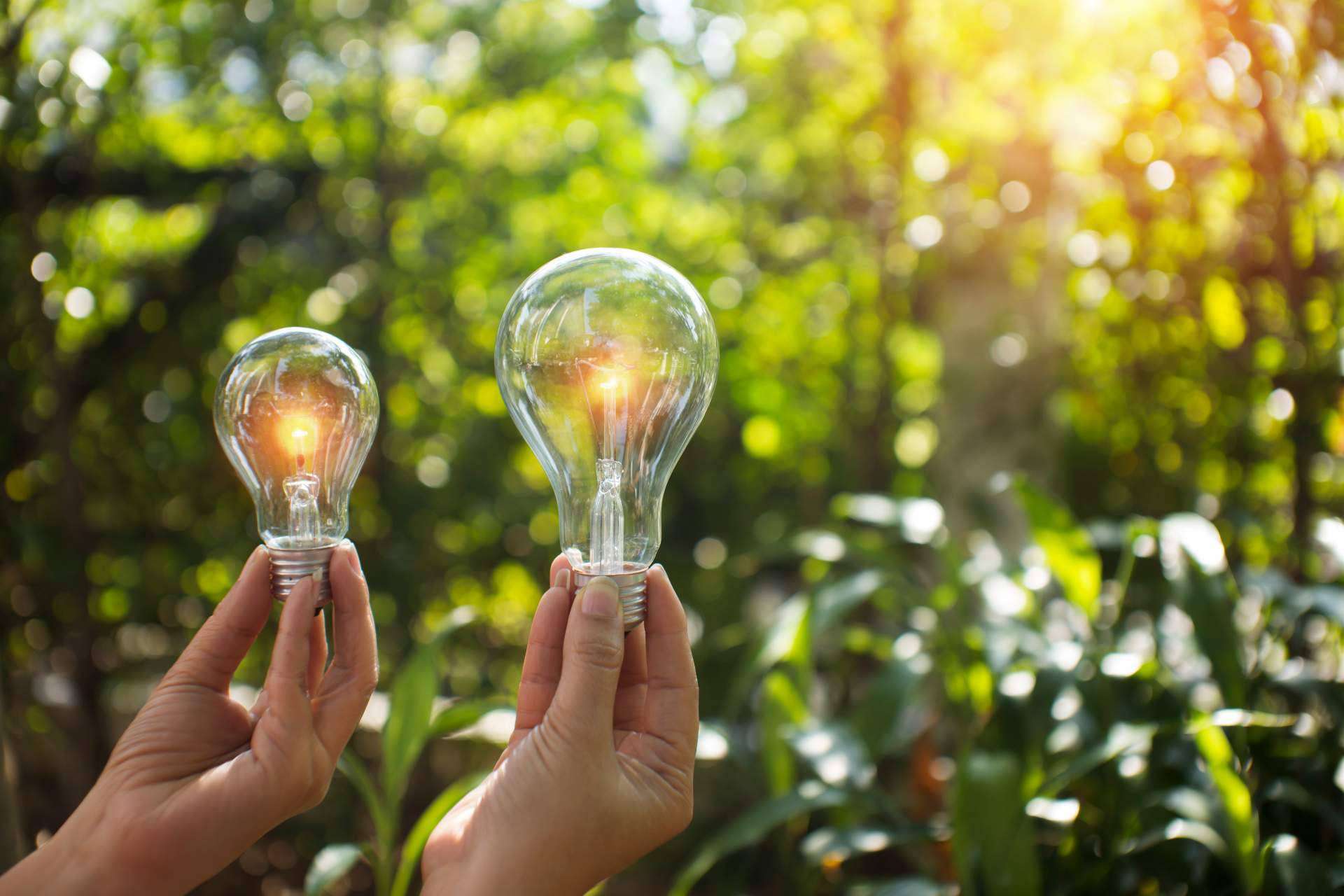 Colombia se convierte en el mejor país para establecer una empresa de energías renovables, según P&L Global