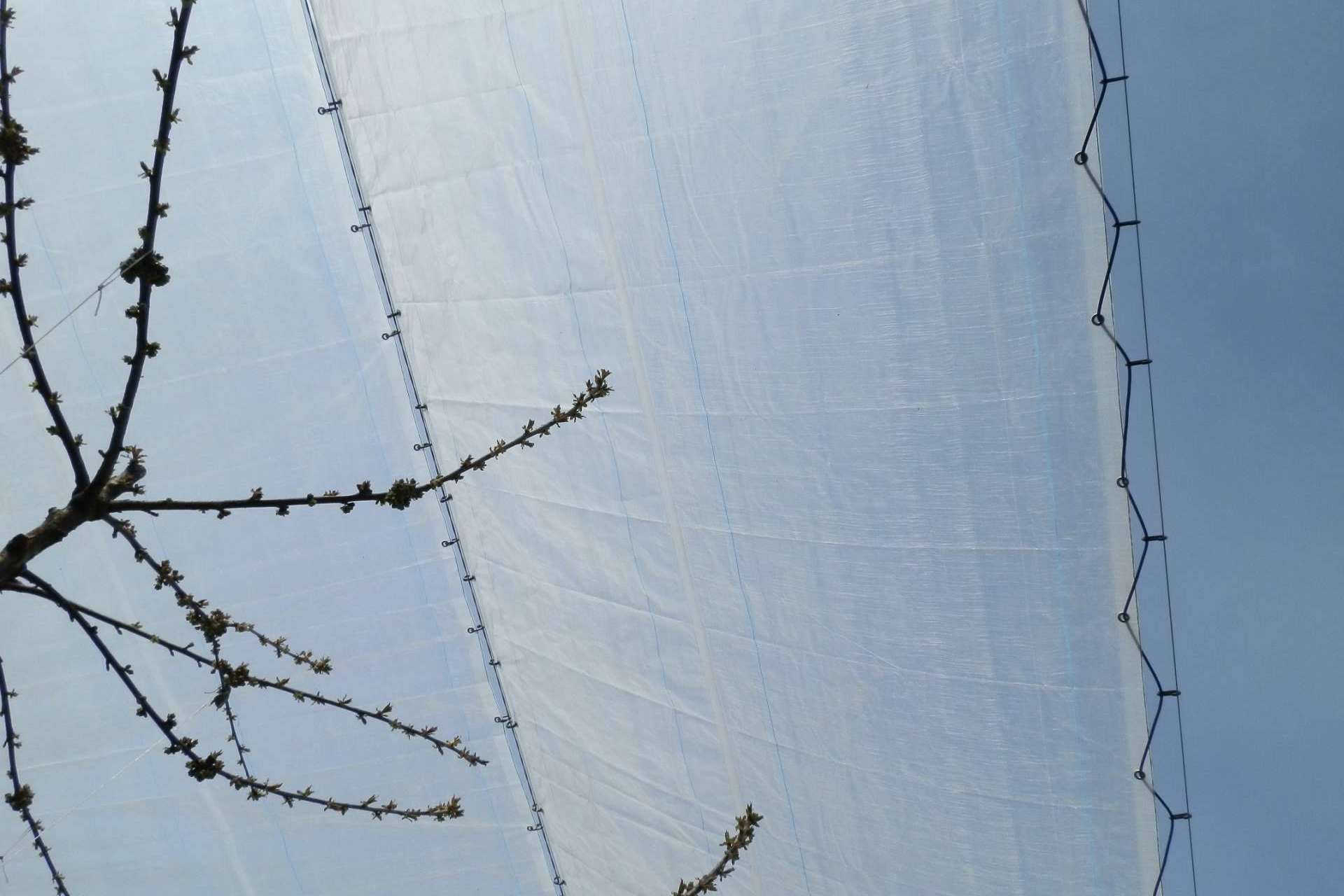 La rentabilidad de la protección de los cultivos, por Agralia