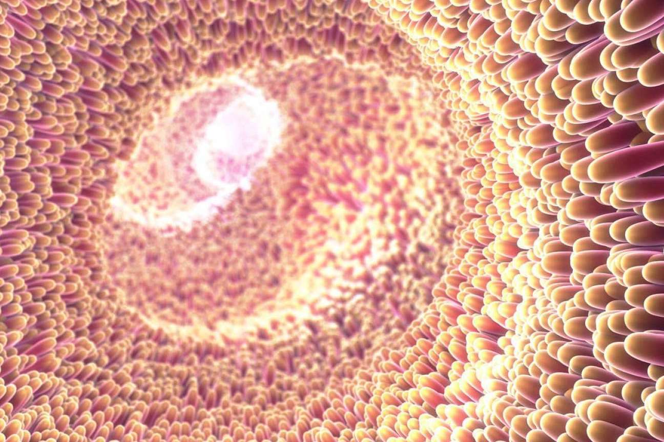 Entrevista al director de la unidad de microbiota intestinal UMEBIR: Dr. Fernando Ruger Viarengo