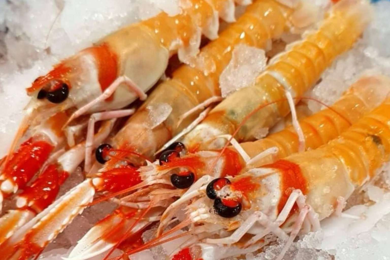 Calidad y frescura en los productos ofrecidos por comprarpescadoonline.es
