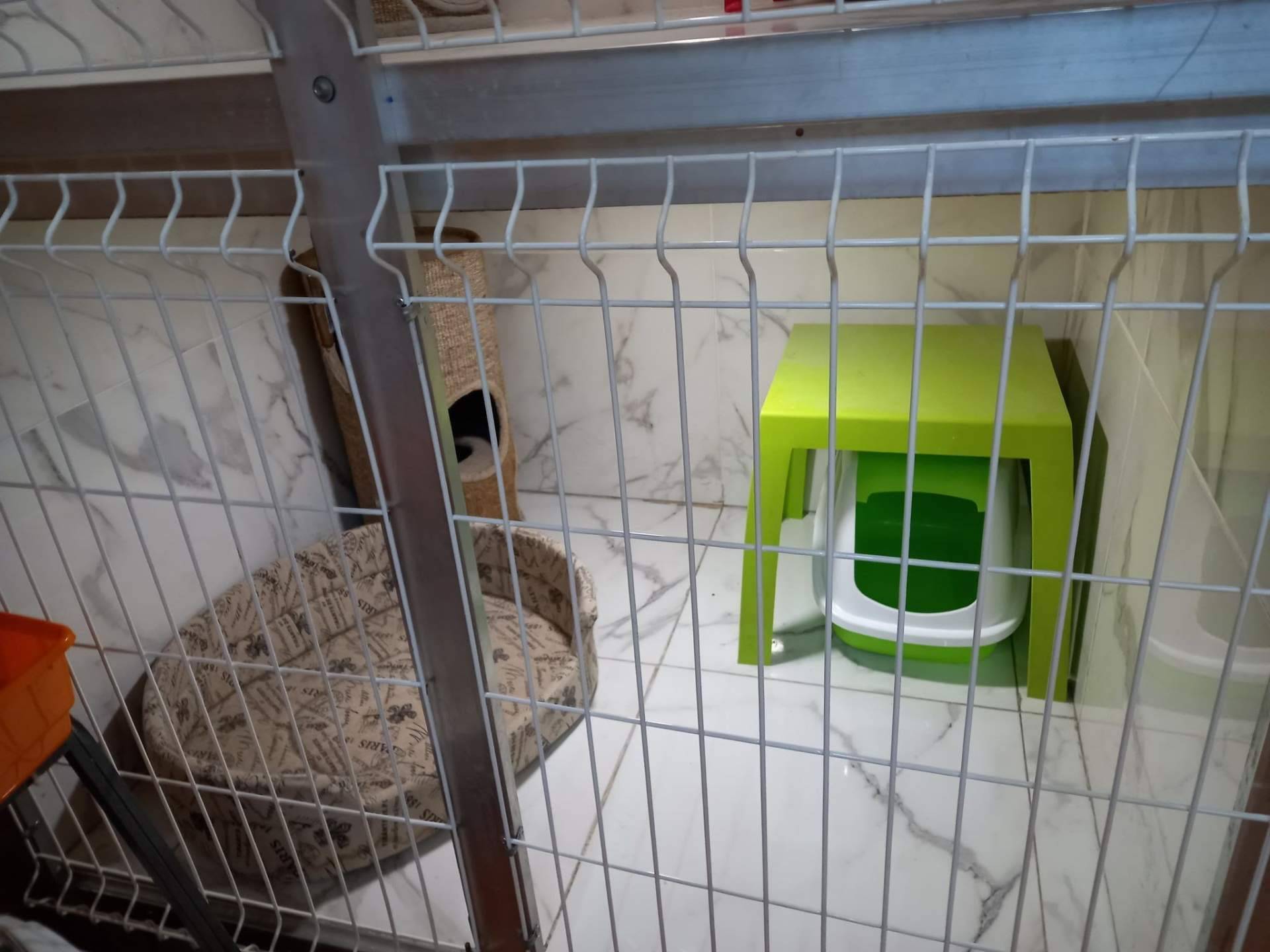 Amaita Mascotas, el hotel de mascotas en Irún