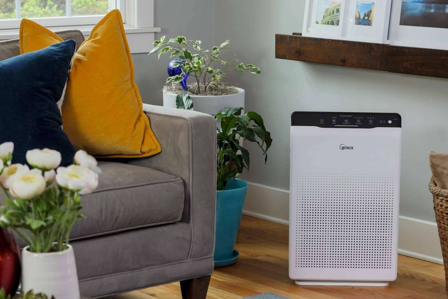 Encontrar purificadores WINIX es posible en la tienda online Protect Soiart Distribución