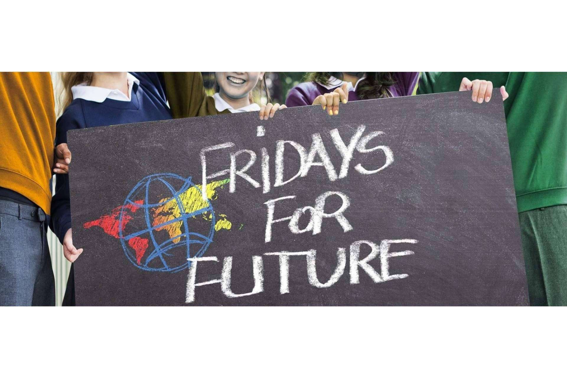 La implicación de los centros escolares en la lucha contra el cambio climático con Ecoescuela
