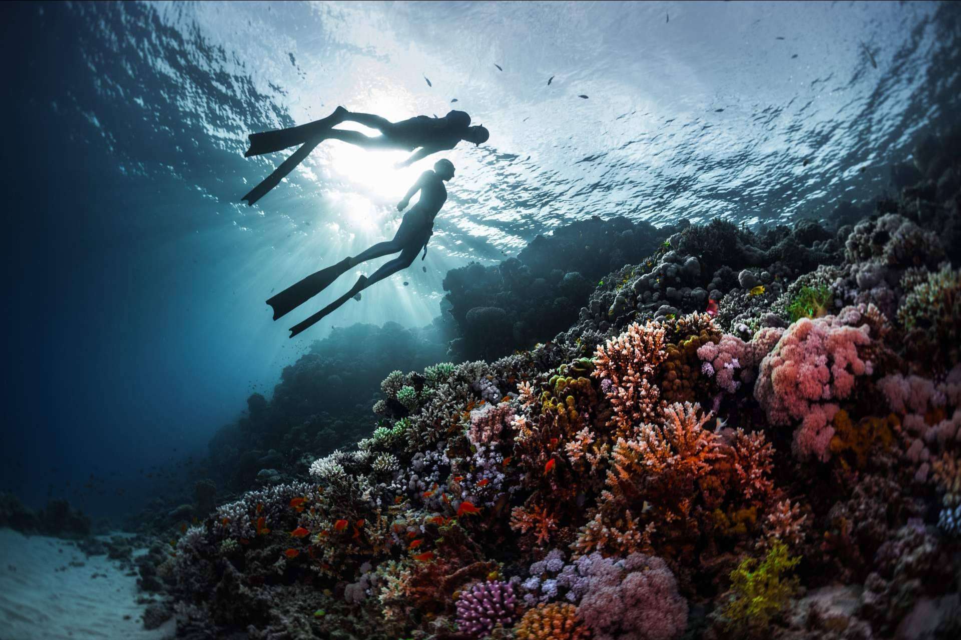 La gestión de estrés en el buceo de la mano de Gestión Emocional