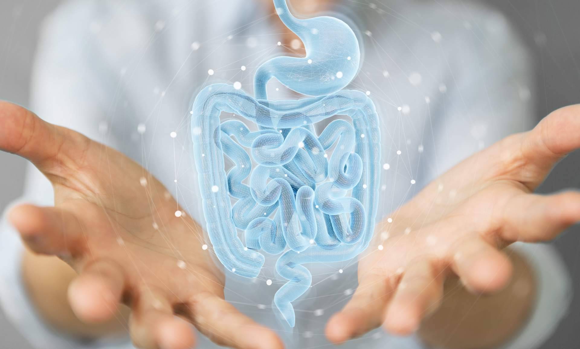 Uno de los máximos exponentes profesionales del país da sus claves para mejorar las tasas de éxito terapéutico: tratamiento del SIBO y tratamiento del LIBO