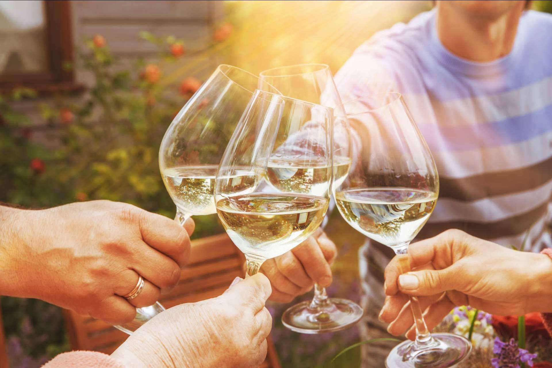 El arte de compartir el vino: De Gálvez presenta la colección de sus mejores vinos