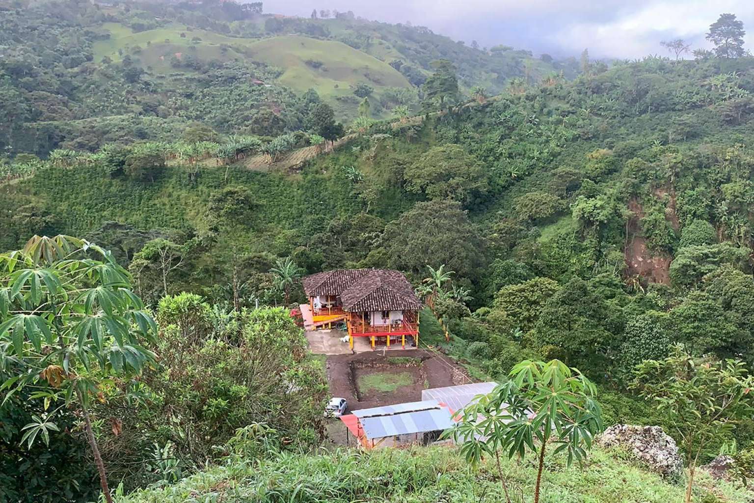 La Guashira: el café de especialidad cultivado en Colombia con raíces alicantinas