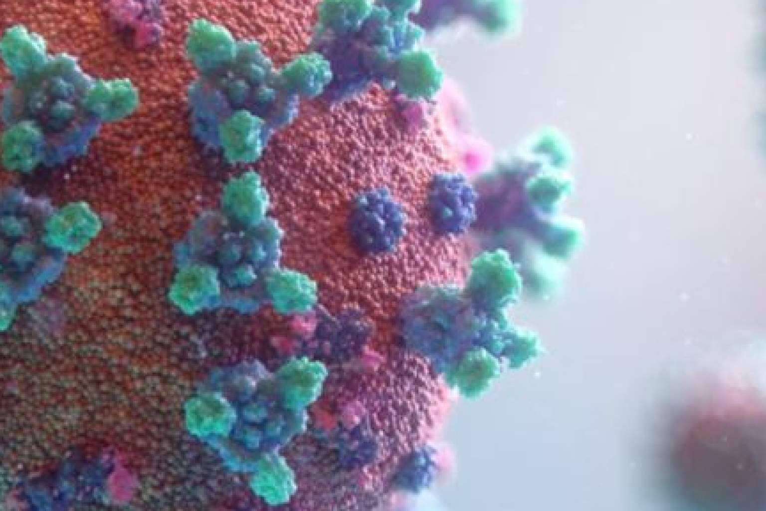 FLG Clinic: tratamiento con láser para eliminar las verrugas genitales producidas por VPH