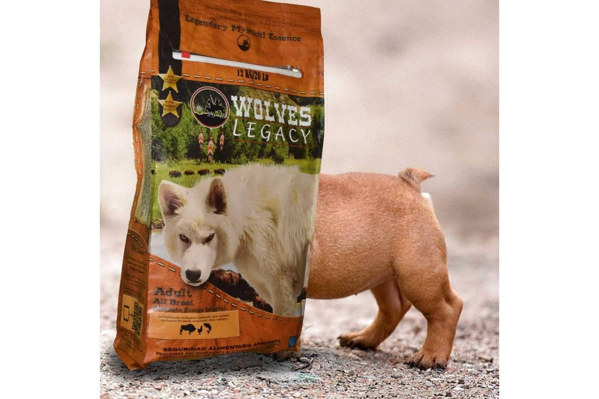 Wolves Legacy: los mejores piensos para perros ¿Deberían ser variados?