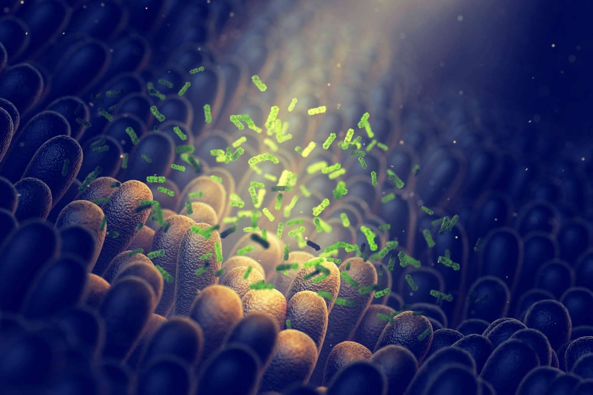 ¿Existe cura para la disbiosis intestinal?