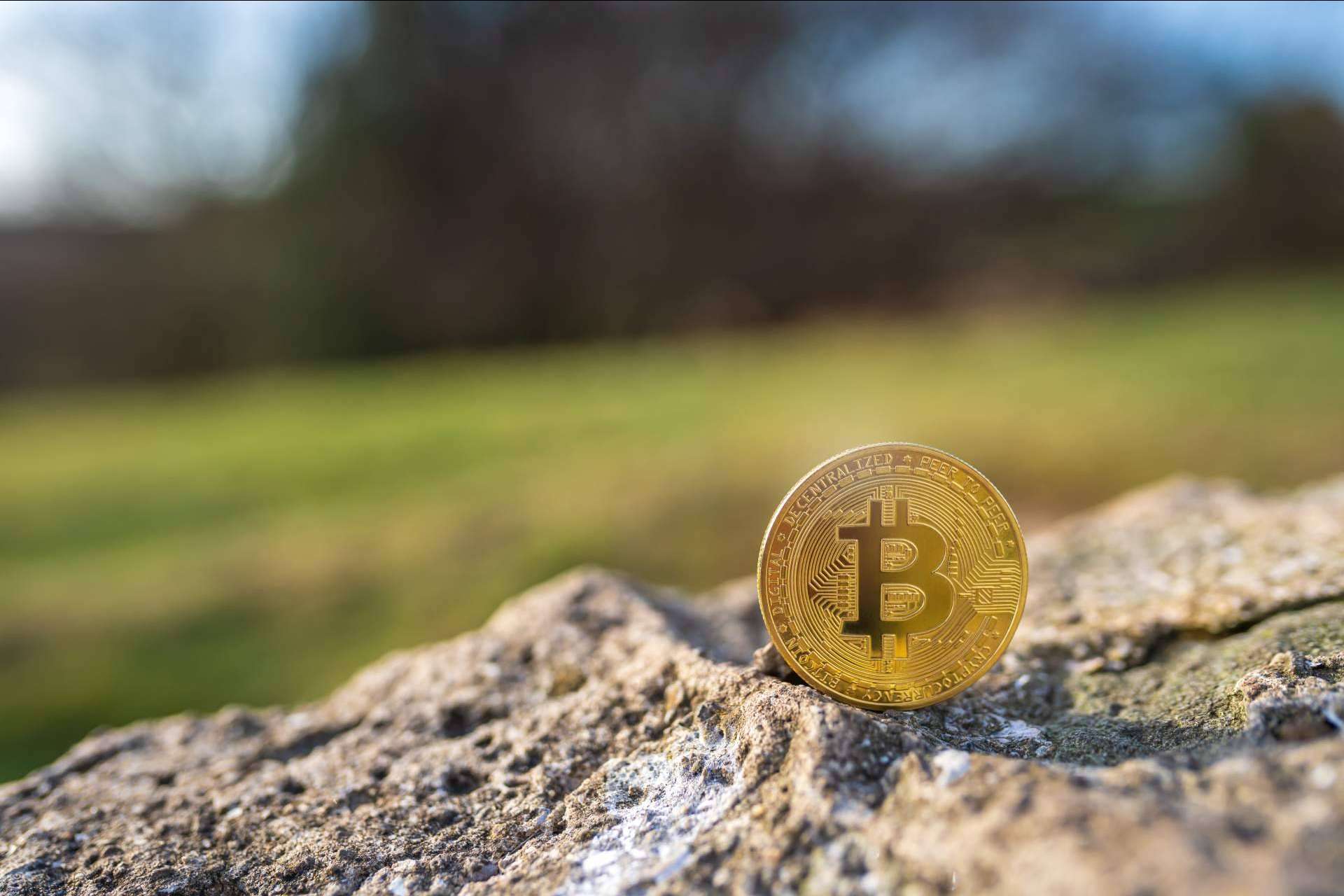 Asesoramiento sobre criptomonedas e ICO en el Reino Unido con Ltd24Ore