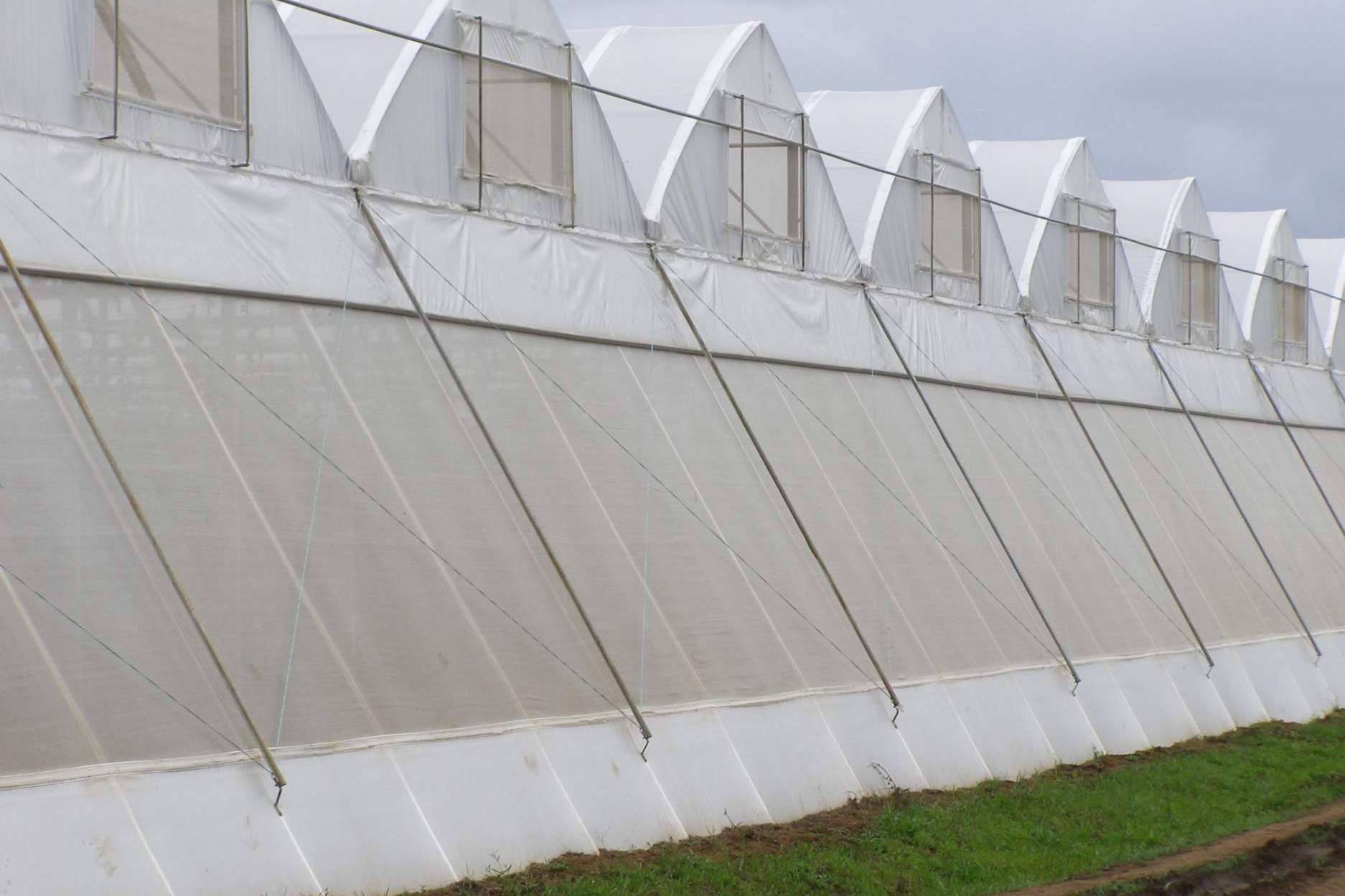 AGRICOVER, el nuevo paquete tecnológico para proteger los cultivos de AGRALIA