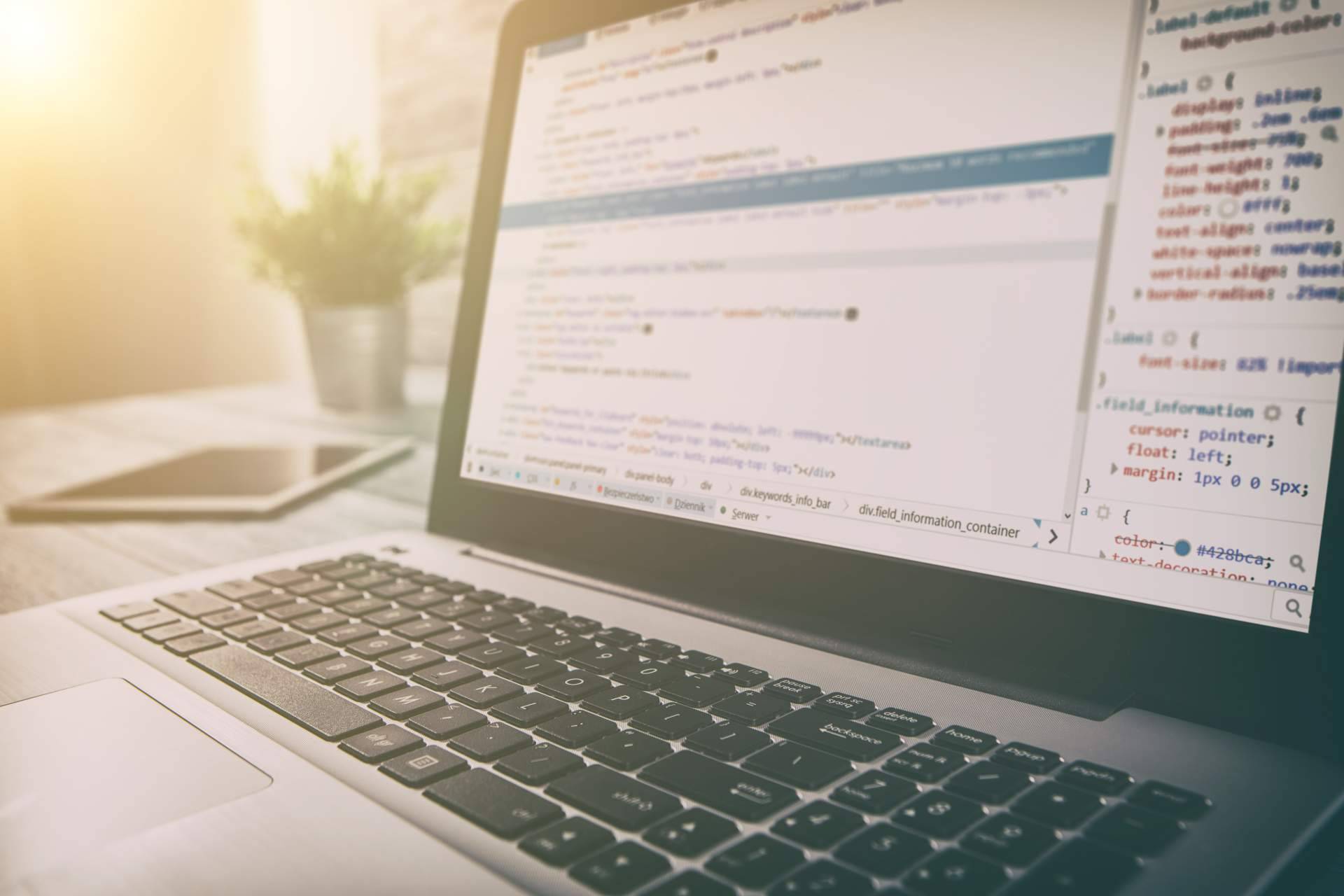 Servicio de diseño web en Asturias de la mano de la agencia de marketing Necotec