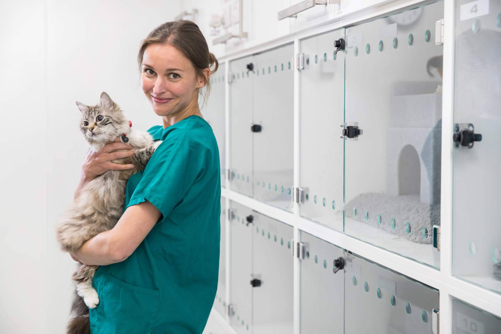 El seguro veterinario que ofrece Miwuki