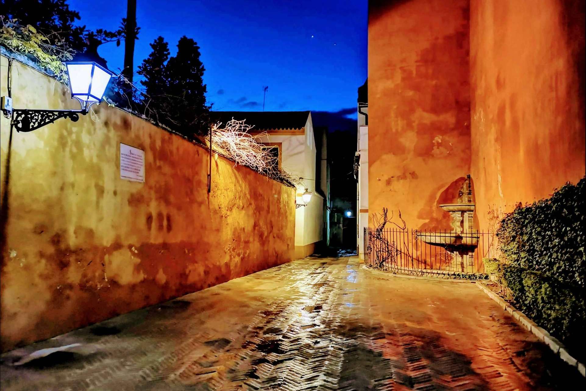 Las visitas guiadas en Sevilla con Tu guía de Sevilla