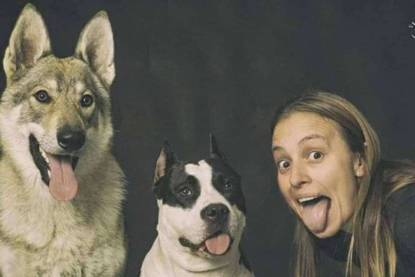 PERROBUENO, ¿Qué es una guardería de día para perros?