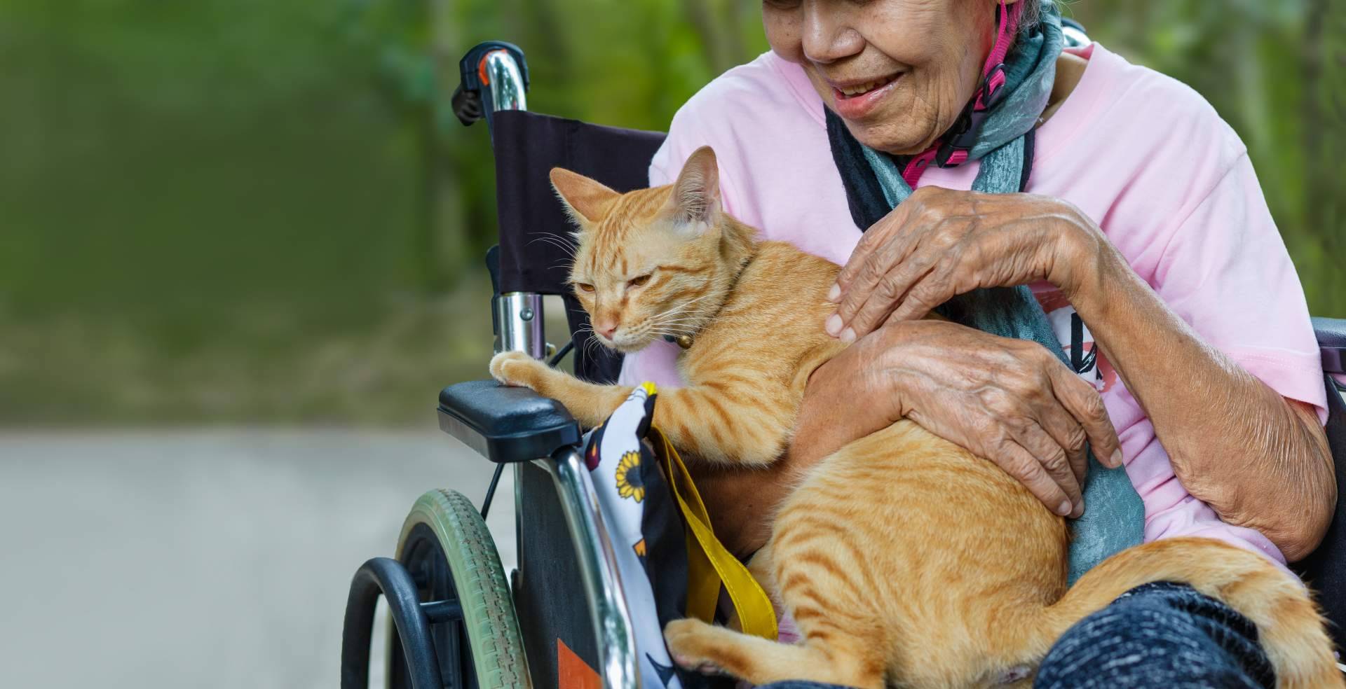 La importancia del vínculo humano-animal según la doctora Paula Calvo