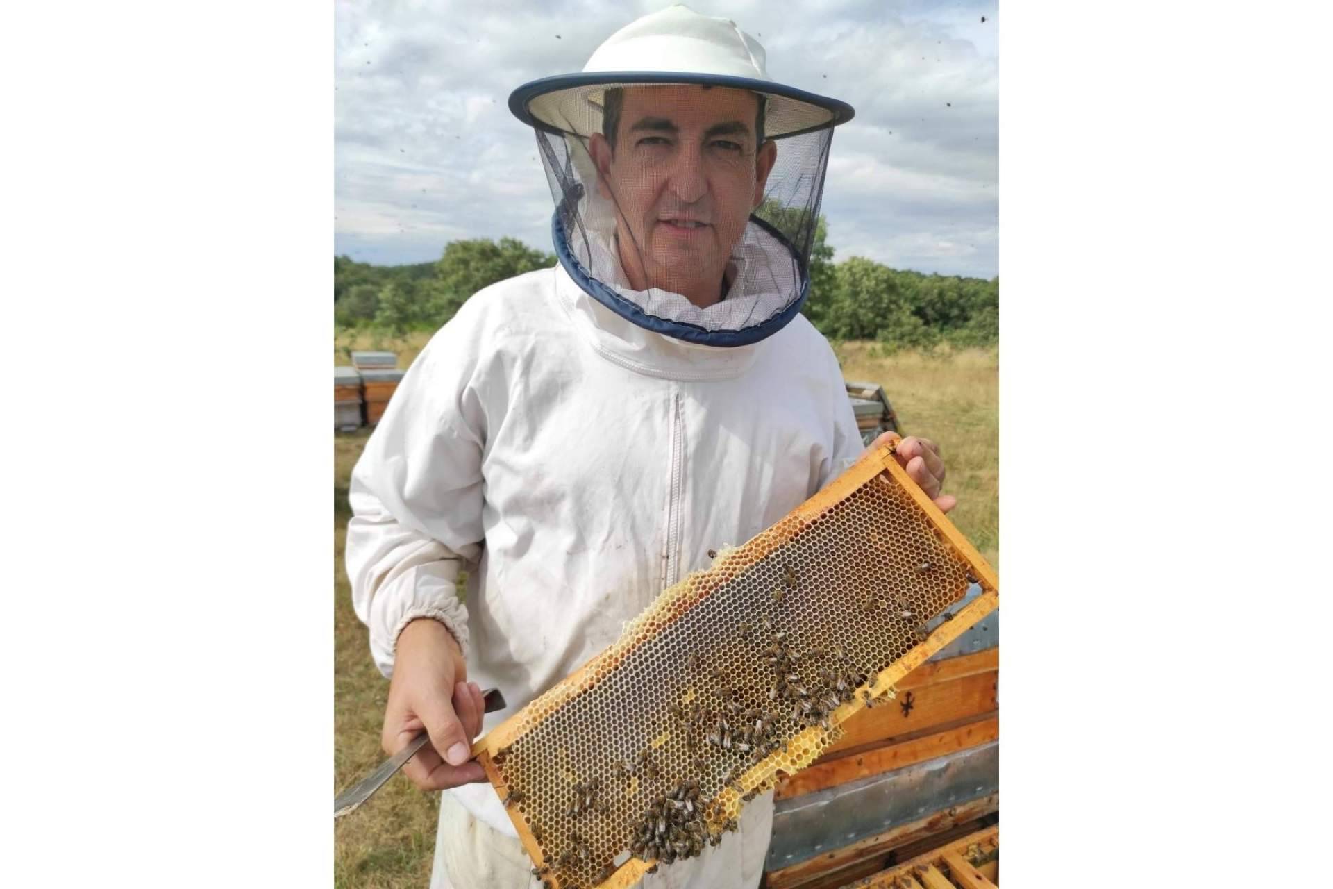 Cuando la primavera regala sabor y salud, Miel de romero