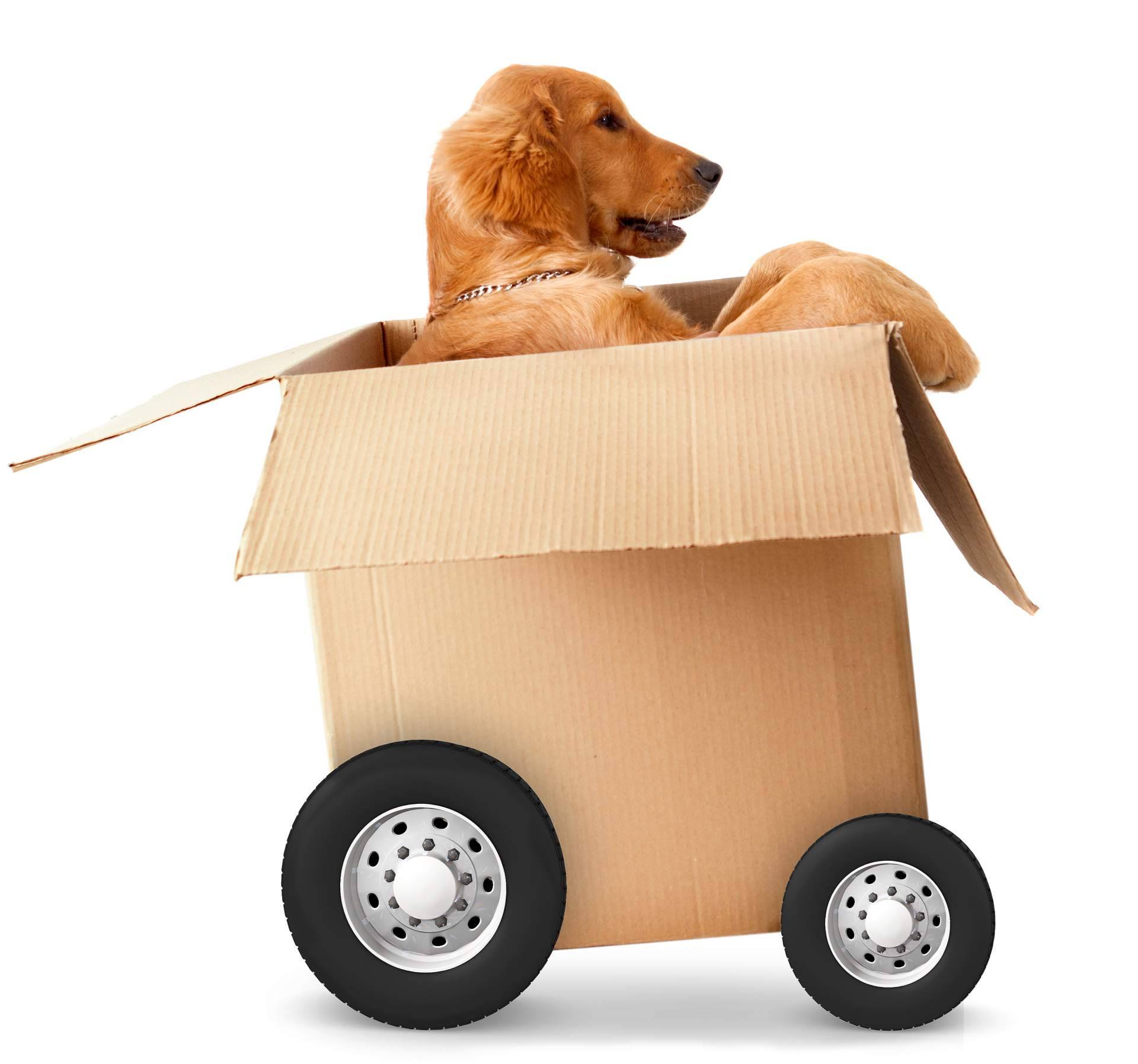 El servicio express para la isla de Tenerife que ofrece la tienda online Cosmetics Tenerife