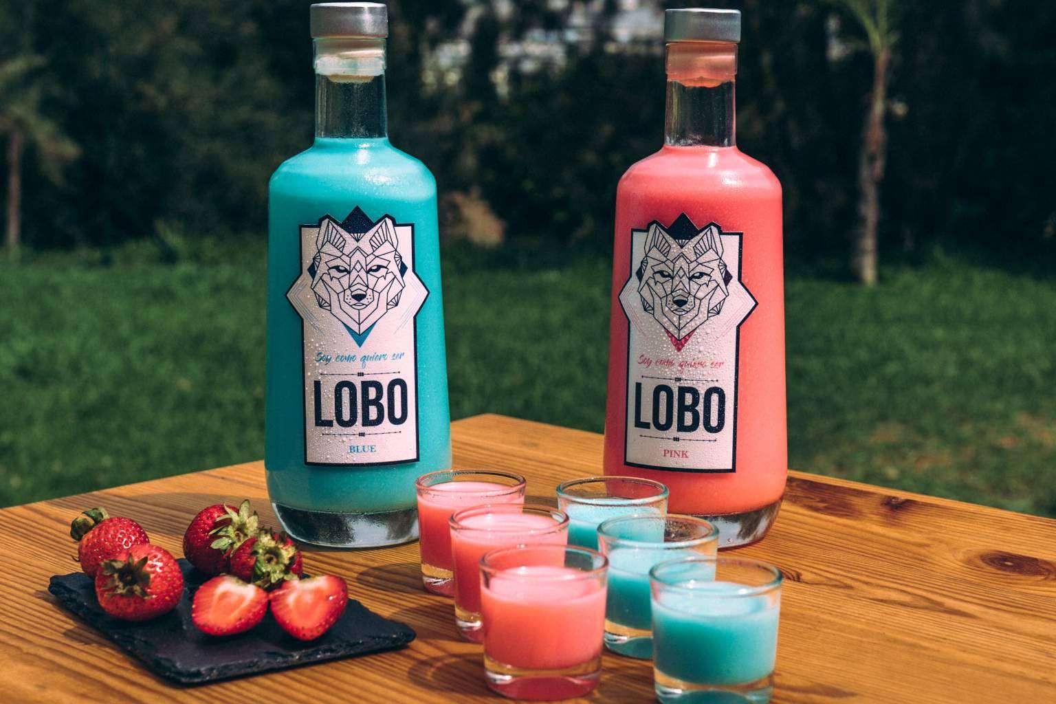 De sur a norte, LOBO tequila a la conquista de España