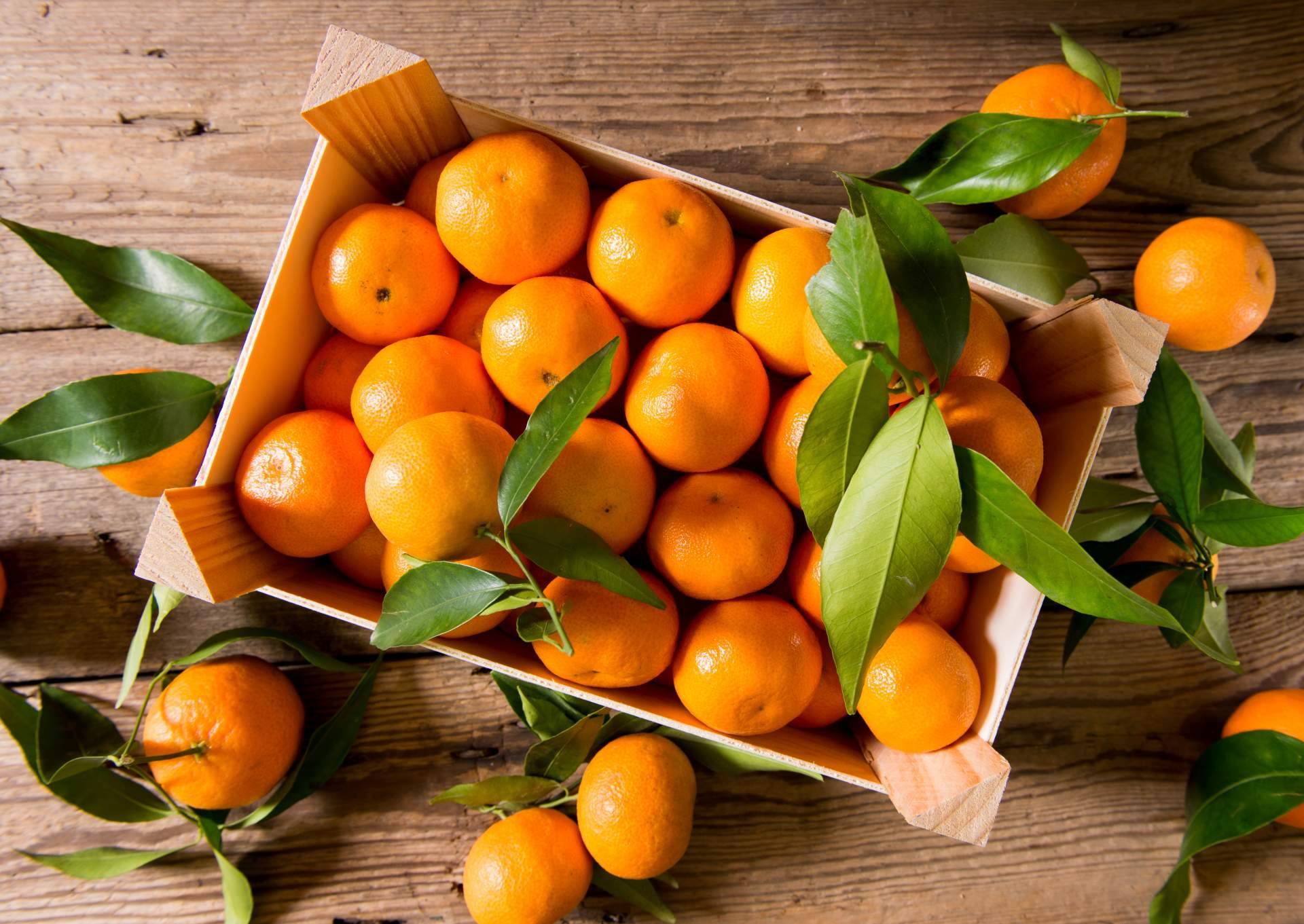 La venta online para resolver la crisis de precios en la agricultura, por Sabor a Naranjas