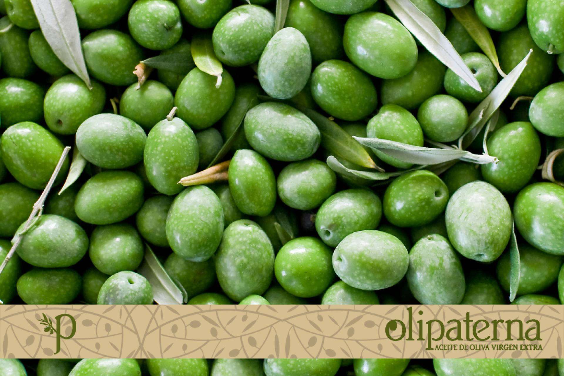 La empresa Olipaterna comercializa el Aceite de Oliva Virgen Extra de Huelva