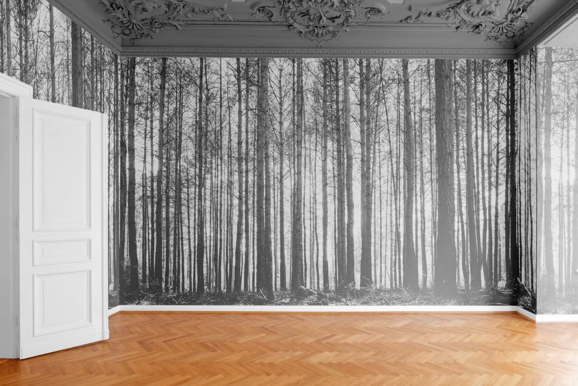 Decorar espacios con Imprimarte y sus fotomurales
