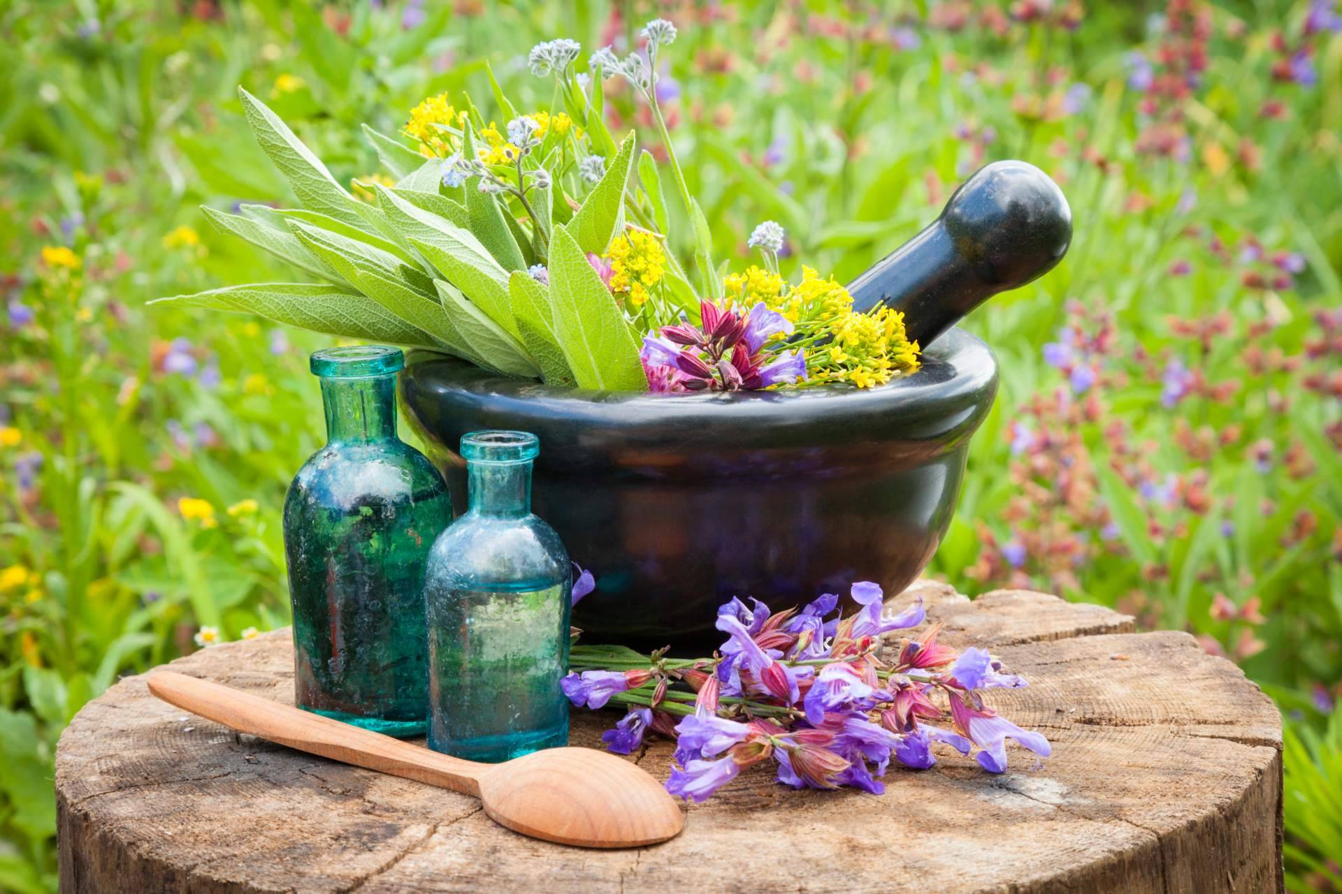 Curso Gestión del Estrés y Curso de Flores de Bach de la mano de Fortalecimiento Vital