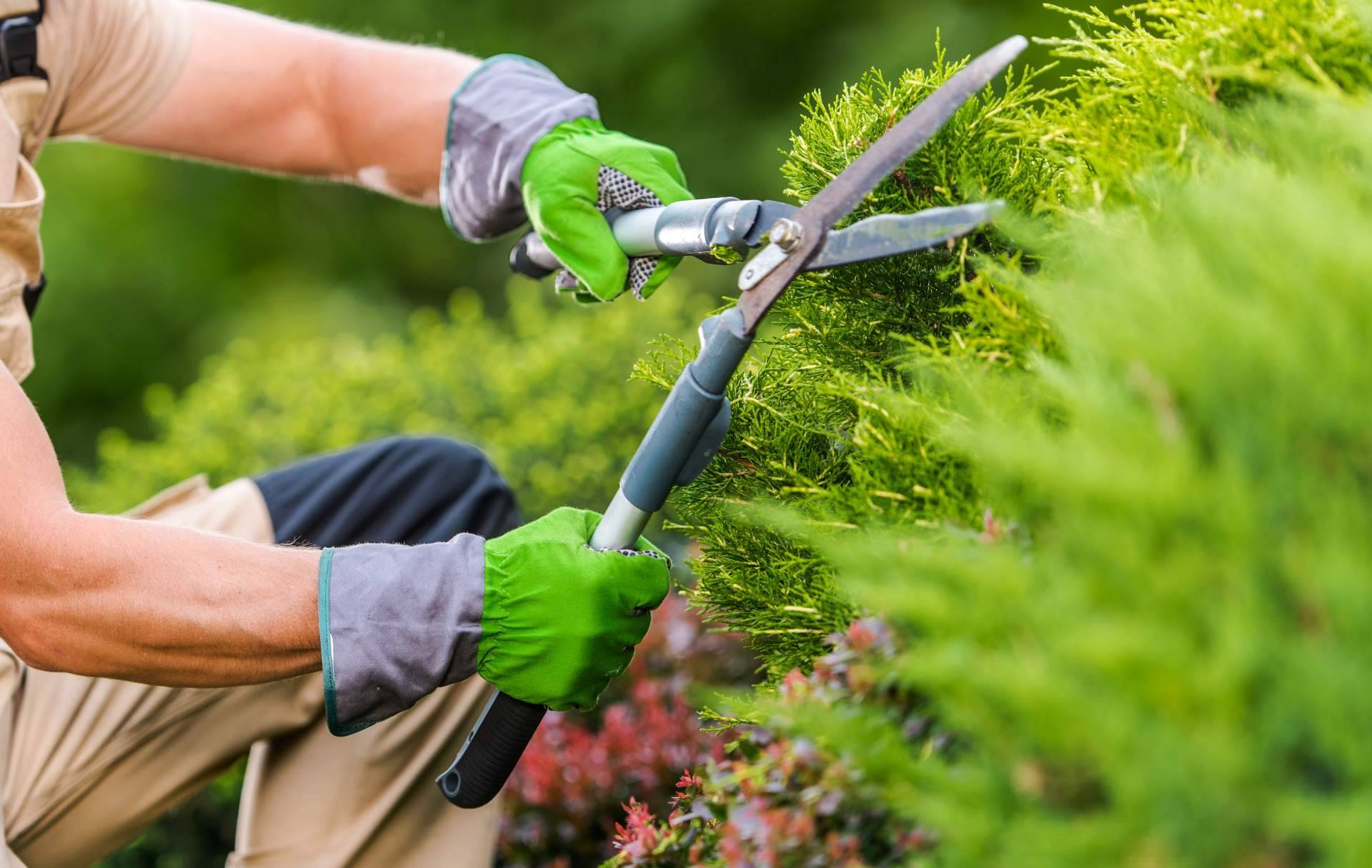 Grupo Sileb realiza el mantenimiento integral de jardines y parques de empresas