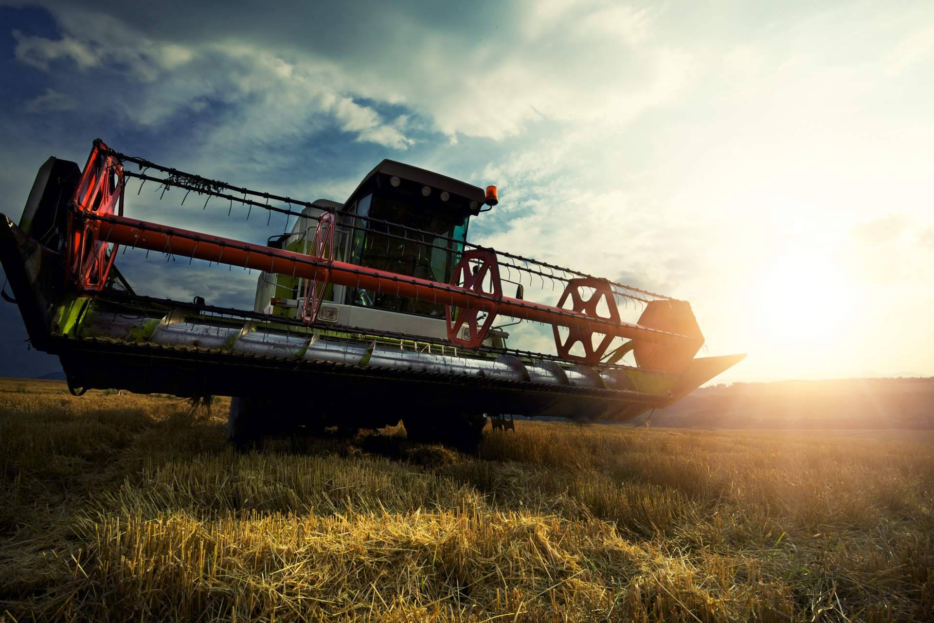 Soluciones agrícolas y asesoramiento técnico para la gestión de cultivos de alto valor como el olivo de la mano de Agbar Agriculture