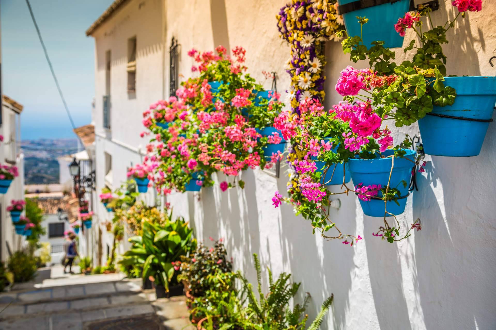 Los 10 puntos claves para el futuro del municipio de Mijas