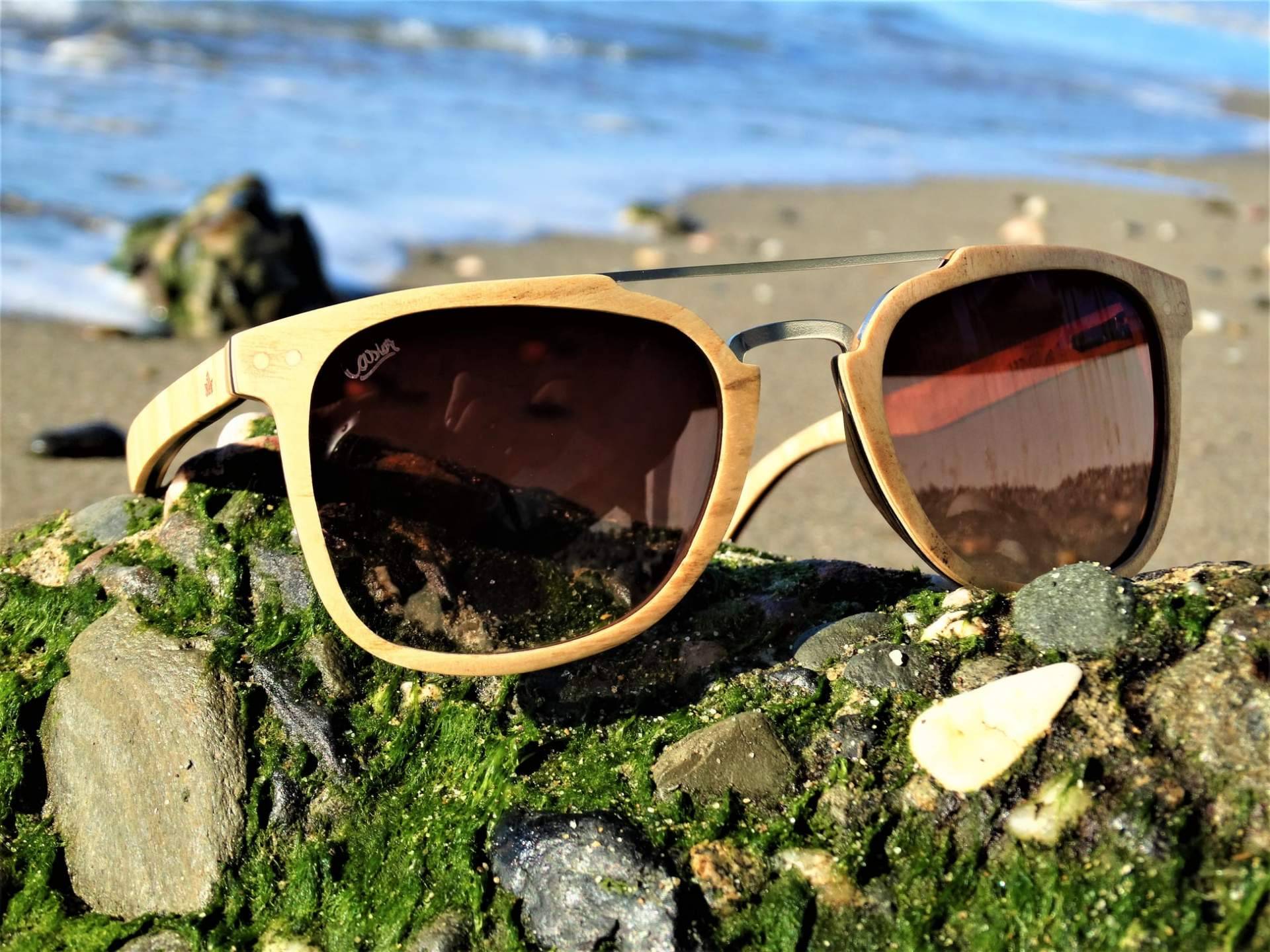 Castor Sunglasses fabrica gafas de madera de olivo