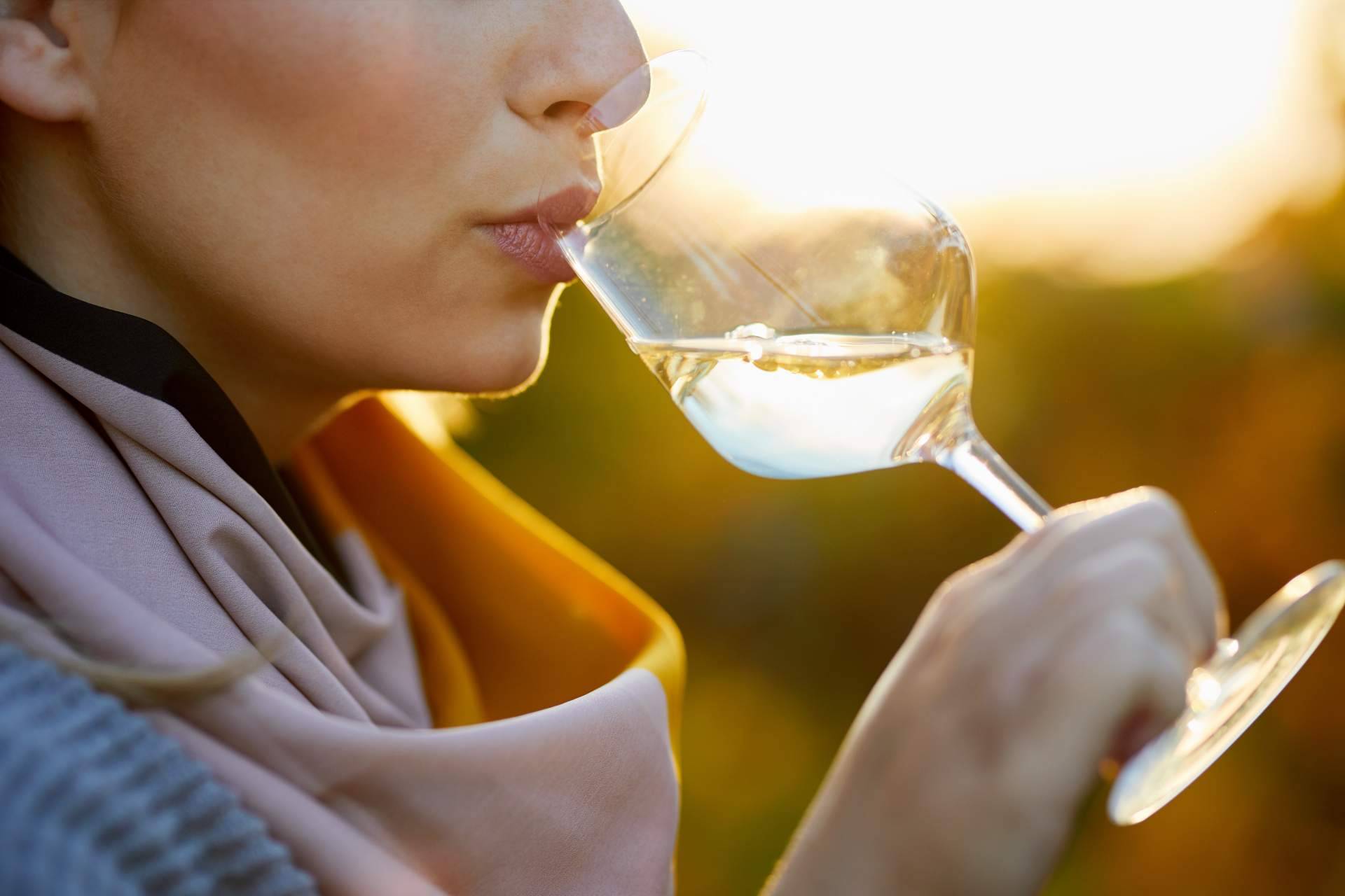 Your Wine at Home y sus recomendaciones para comprar vino online