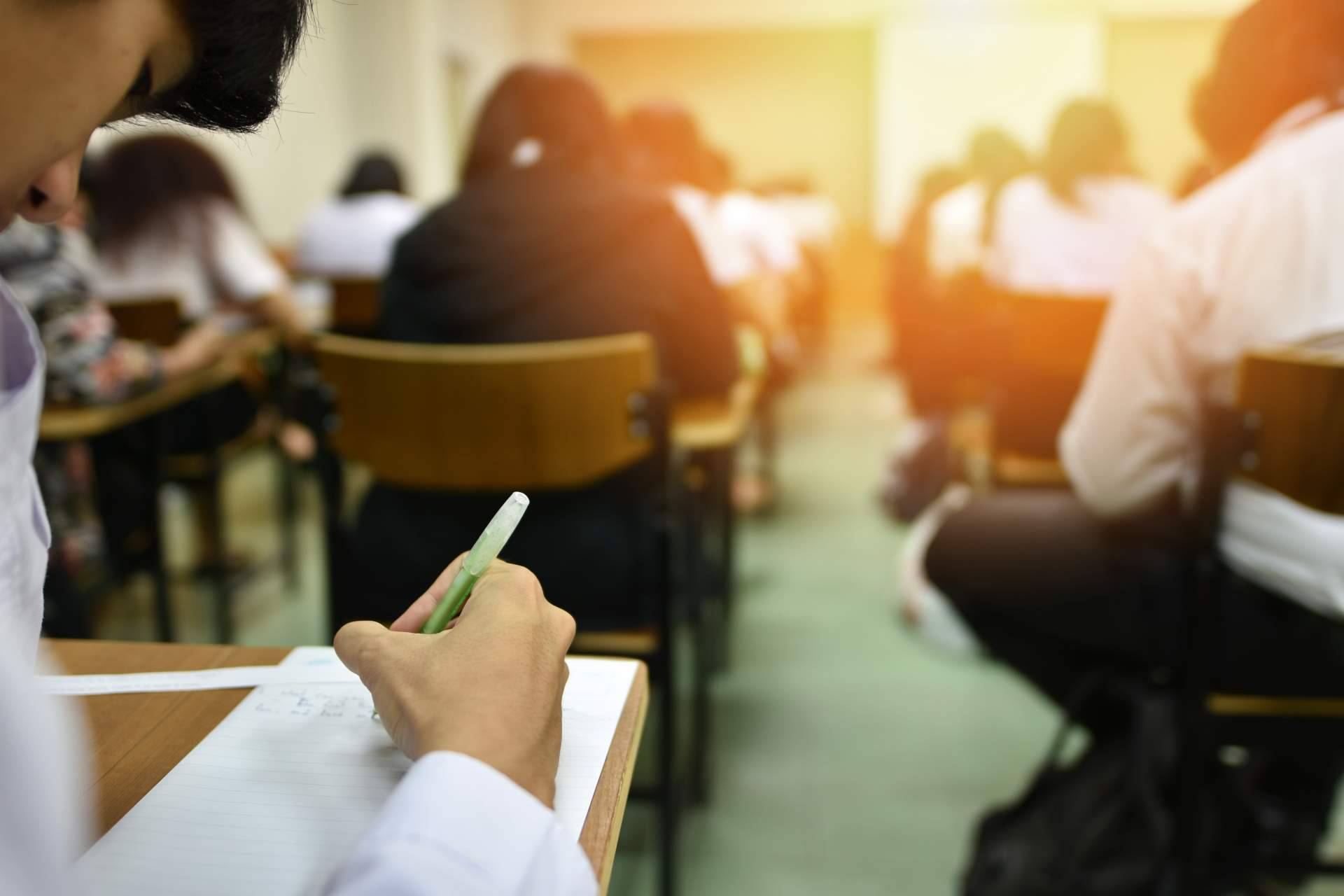 Razones por las que los ciclos formativos son una buena opción frente a las carreras universitarias, según Pàlcam