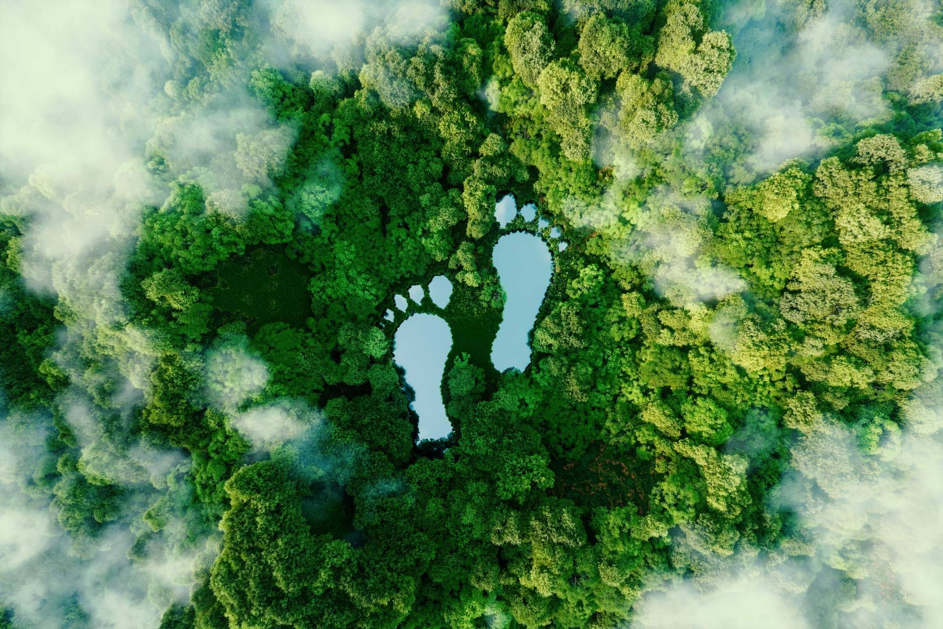 Empresas como ClimateTrade ayudan a compensar la huella de carbono
