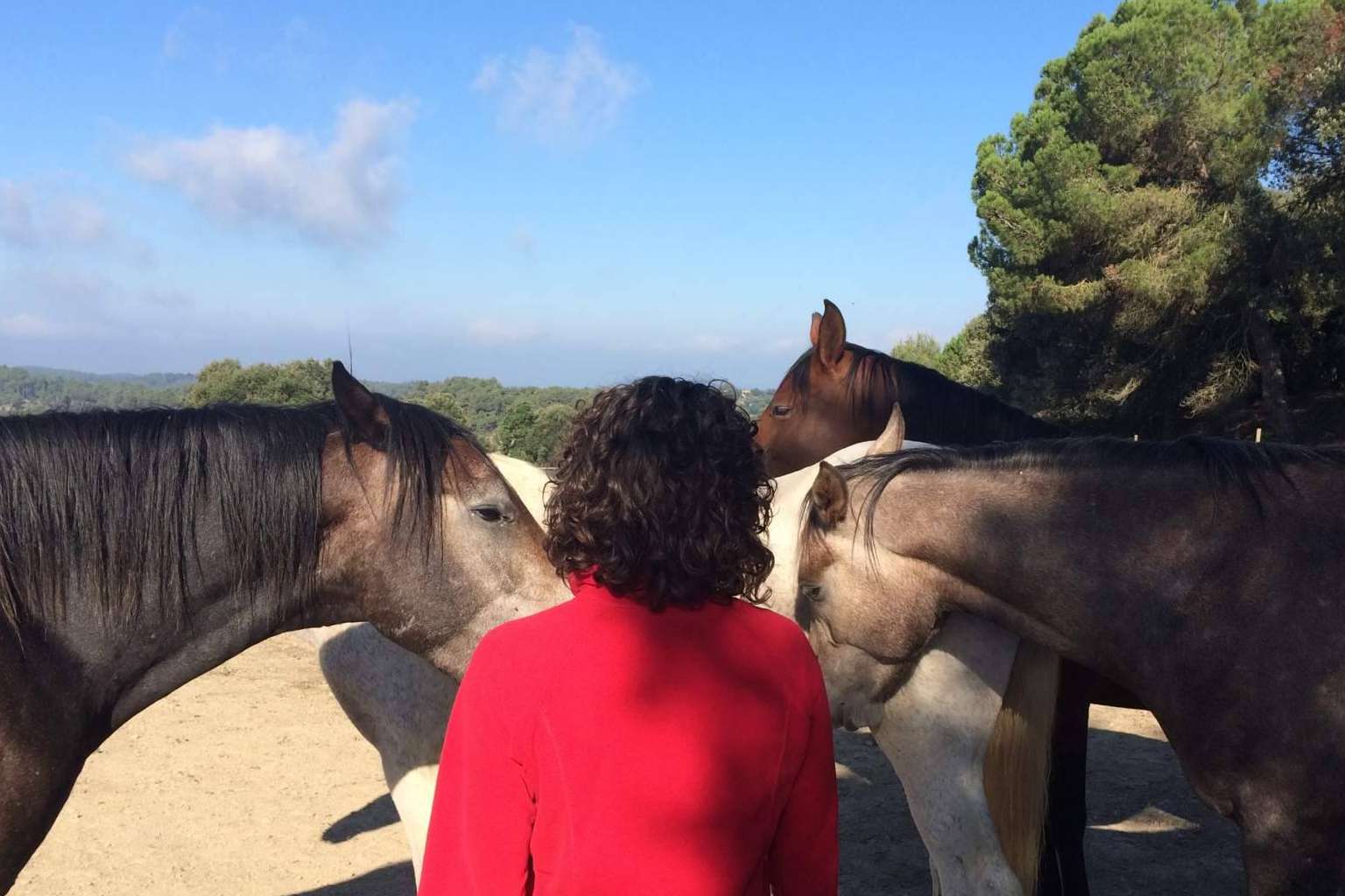 PNL asistida con caballos en libertad con Aura
