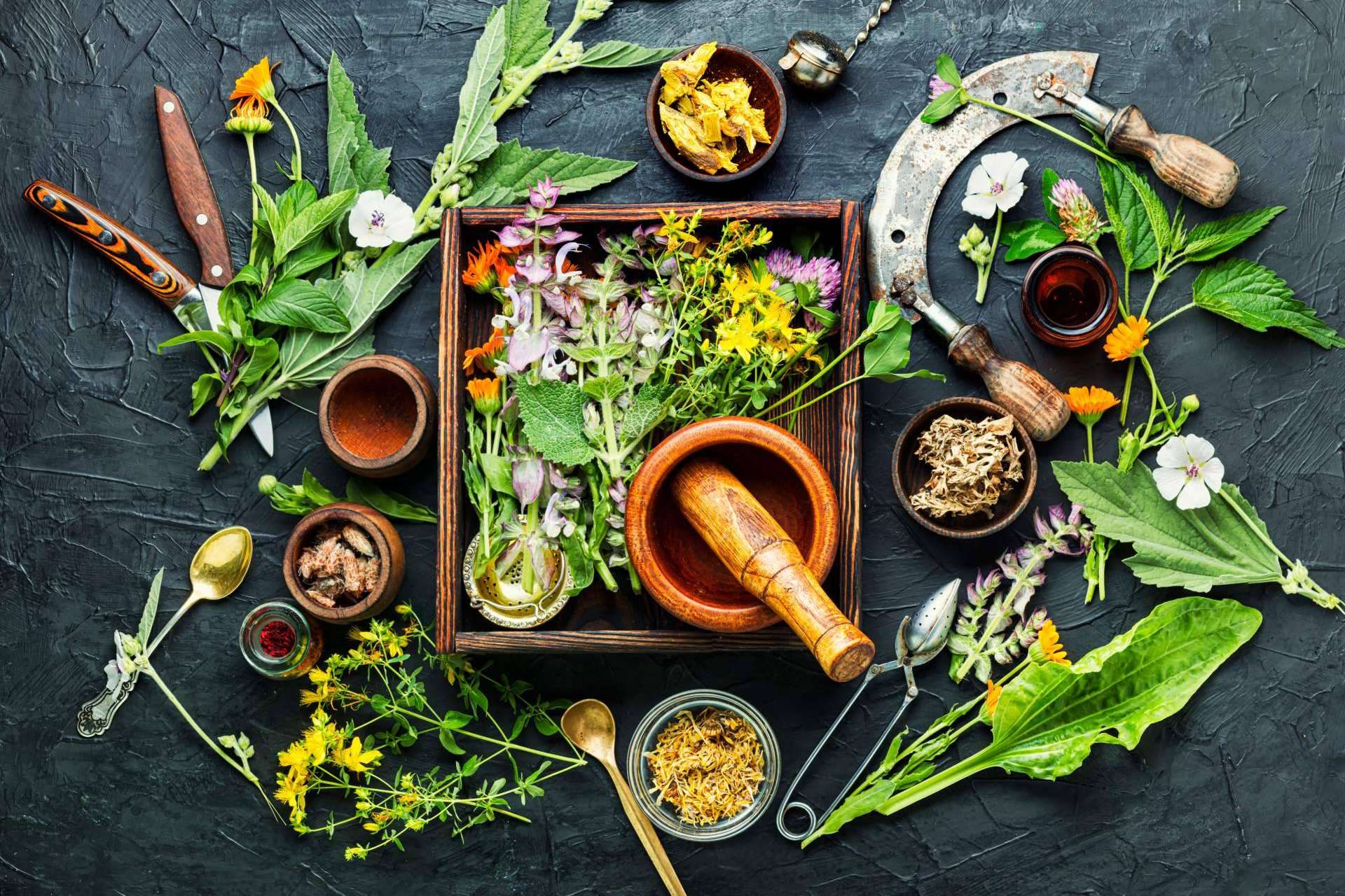 Los medicamentos herbolarios de Soria Natural México