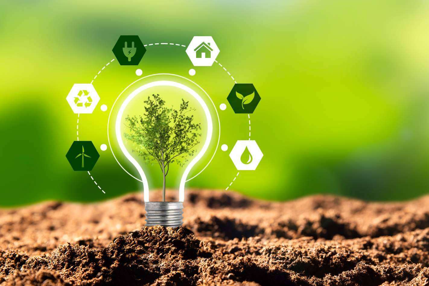 La forma de elegir tarifas de luz y gas competitivas para el hogar y pequeños negocios