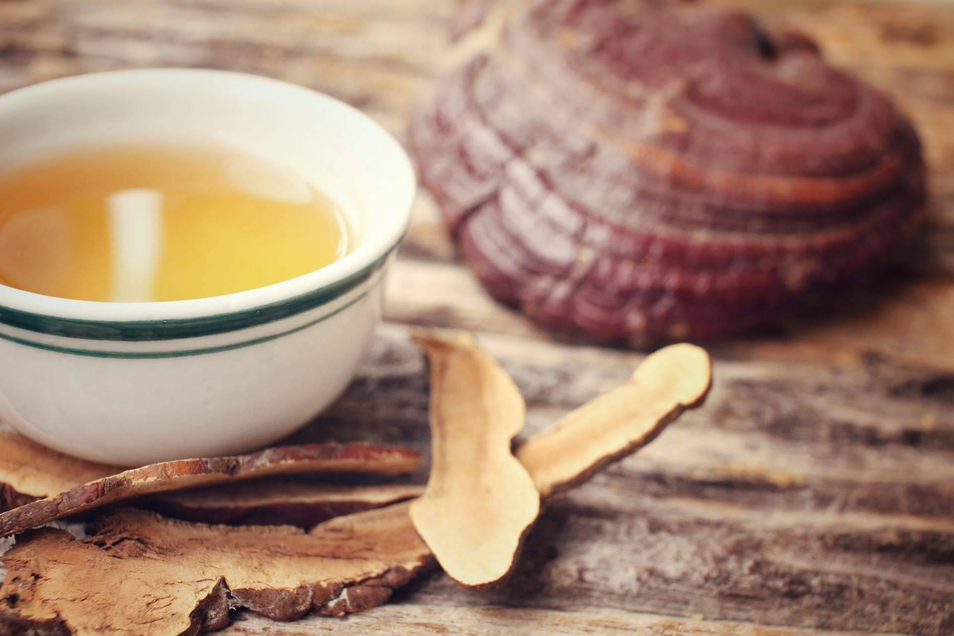 Cosmética con Dxn Ganoderma, en La Tienda de Cristóbal