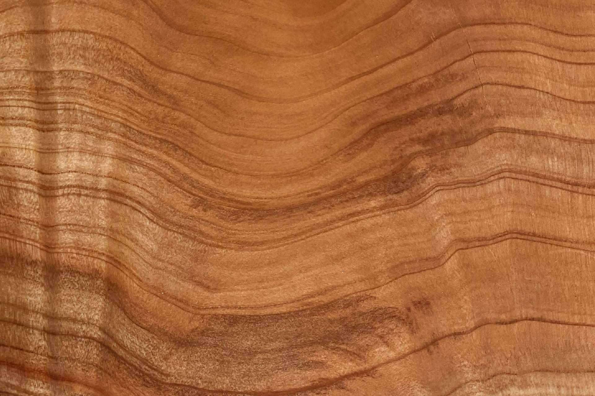 ¿Qué madera es la mejor para los muebles?, por Maderas Gámez